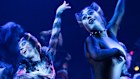 The Cats revival has cost John Frost and his investors $4.5 million to get to the stage.