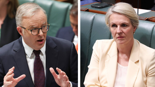 Plibersek made a vow on environmental reforms. Albanese has put that at risk