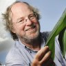 QUT’s Professor James Dale developed a genetically modified banana with high levels of vitamin A; a deficiency which kills more than half a million children in developing countries every year.