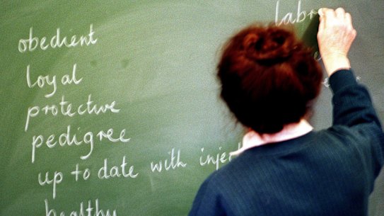 The education gap in NSW is widening. 