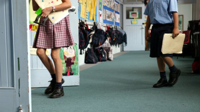 Religious schools should be allowed to deny the 'new' gender identity of students, expert says