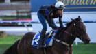 Winx is the only mare (female horse) to make the list of Australia’s richest horses.