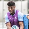 Waratahs’ giant recruit ready to use his French lessons