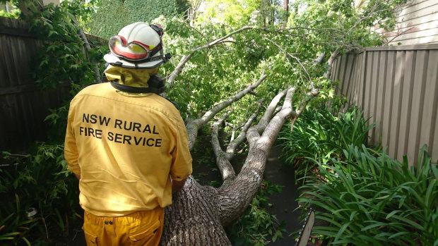 The NSW Rural Fire Service helped with clean-up efforts in Thornleigh. 