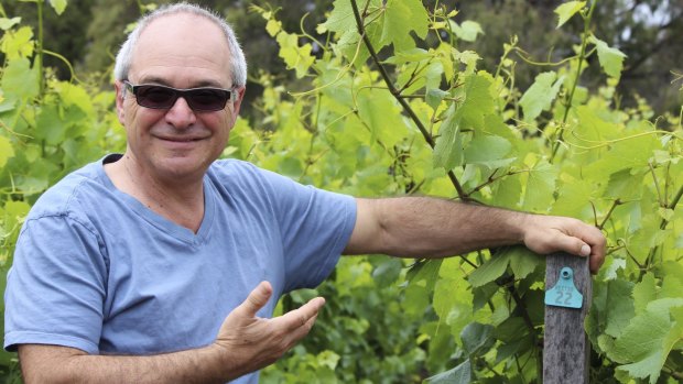 Will Berliner from Cloudburst has shaken up winemaking among the elite in Margaret River since his arrival.