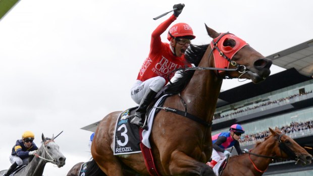 Climbing the mountain: Kerrin McEVoy punches the air as Redzel win the first Everest.