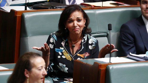 Labor MP Anne Aly is facing questions about her citizenship.