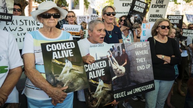 Protestors calling for the end of live exports earlier this year.