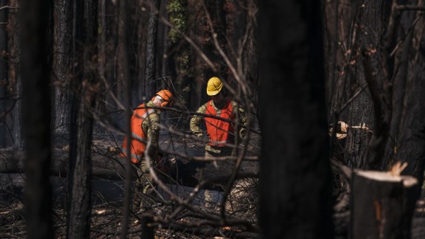 The clean-up of debris left by this summer's bushfires is expected to take until the end of June.
