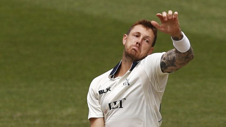 James Pattinson did damage for the Vics on day three.