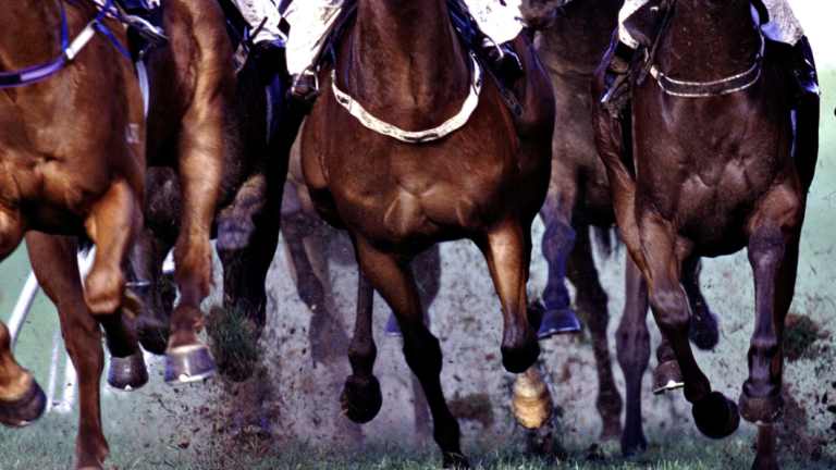 They're off and racing in Bathurst on Monday, with two class 1 runs on the seven-start card.