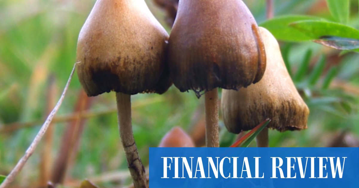 Psychedelics are psychiatry's new hope - Vimarsana News
