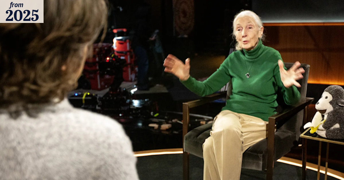 How Jane Goodall’s death initiated Netflix’s newest show
