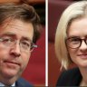 ‘Fight for the heart of the party’: Why the LNP’s Senate showdown matters