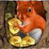 The bill squirrel: How smoothing your debts can soothe money stress