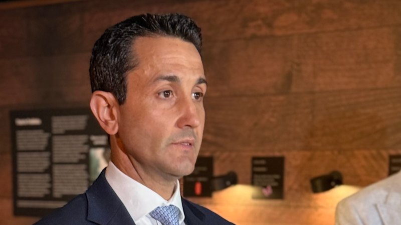 ‘You have to be an Aussie citizen’: Details of gun laws revealed, but no word on mental health checks