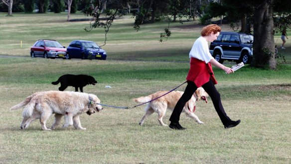 A walk in the park is good for mental health.