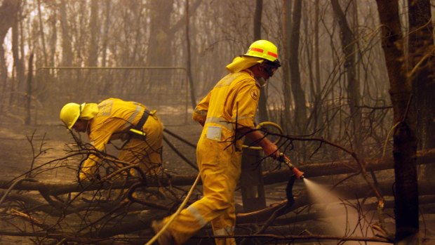 Queensland's fire brigades were at work over the weekend fighting hundreds of fires statewide.