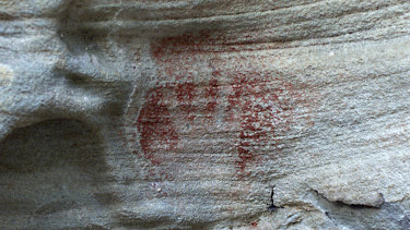 Rock carvings in Ku-ring-gai Narional Park.