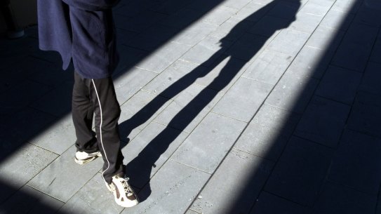 A total of 56 per cent of Australians would support raising the minimum age to 14, with 33 per cent opposed and 11 per cent unsure, the polling suggests.