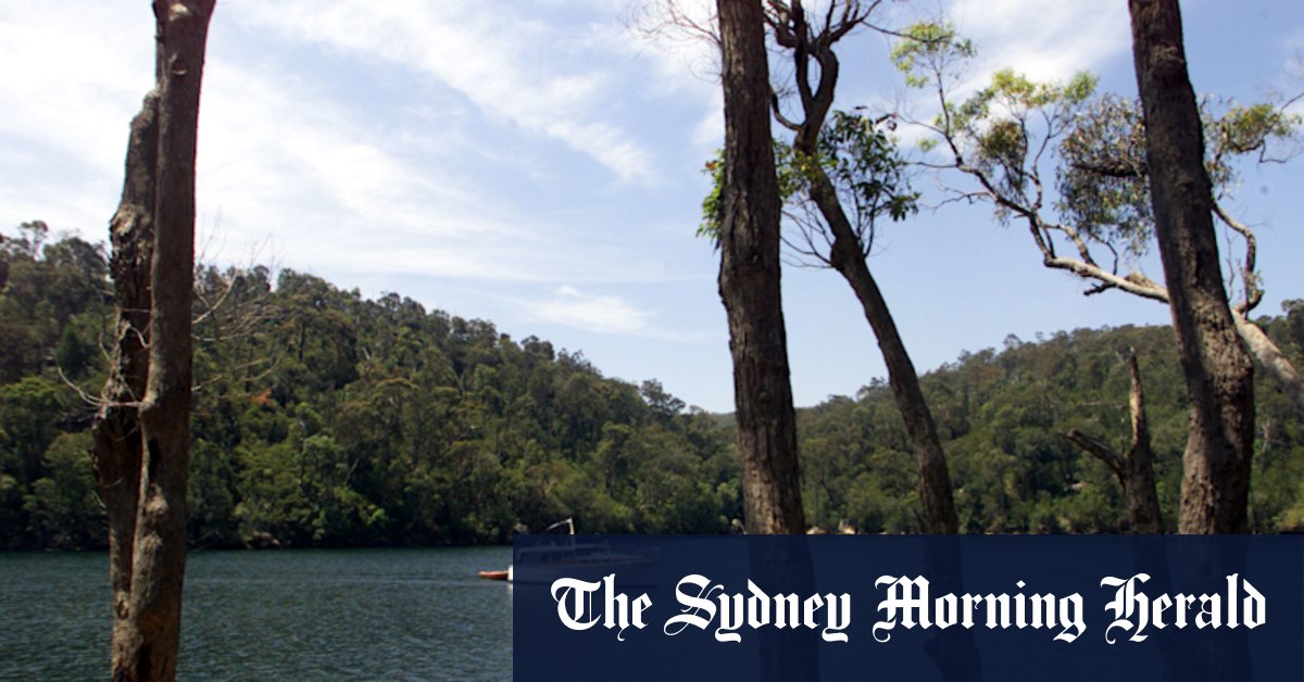 Sardines and sandstone buildings: Summer in Sydney - Vimarsana News