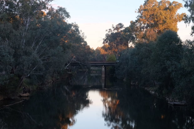 The Ovens River in Wangaratta at dusk.