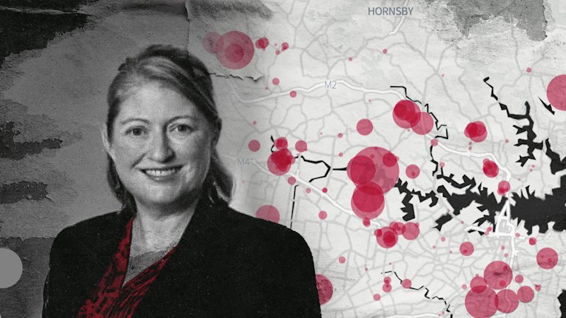 Planning official used husband’s AI tool to fast-track hundreds of Sydney housing proposals