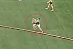 Lachie Neale’s punch on Jack Ginnivan.