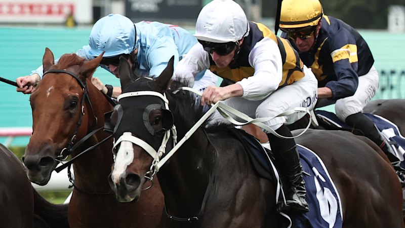 Tips and race-by-race guide for Rosehill on Sunday