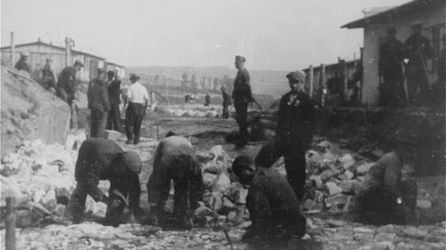 Forced labour in Janowska concentration camp.