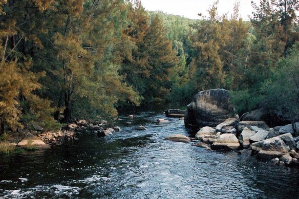 The company allegedly took 1200 megalitres of water above its licence allocation from the Gwydir River.