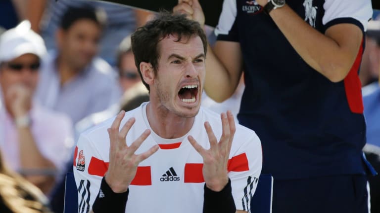 Rinsed: Andy Murray was criticised by the tournament director for pulling out of the Citi Open.
