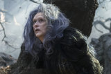 James Corden and Meryl Streep starred in Disney’s 2014 adaptation of Into the Woods.