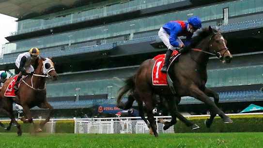 Zaaki cruises to victory under James McDonald in the Tramway Stakes.