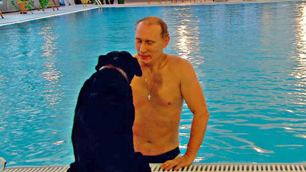 Russian President Vladimir Putin's black Labrador, Konni, accompanied him to a meeting with dog-fearing German chancellor Angela Merkel.