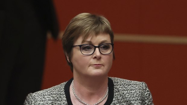 Defence Minister Linda Reynolds in the Senate on Wednesday.