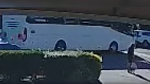 Police are appealing to witnesses, particularly the driver and passengers on board this bus that was travelling along Allamanda Drive about 8.50am on Friday, July 19, to come forward.