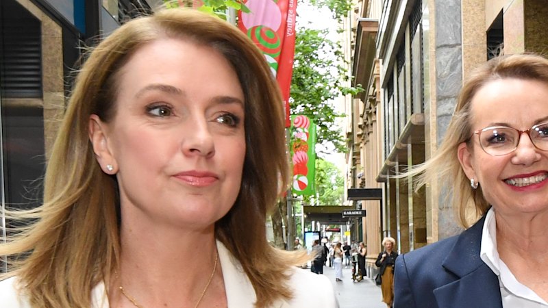 Coalition walks back from Perrottet’s signature gambling policy