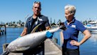 Pavo and Heidi Walker of Walker Seafoods in Mooloolaba on the Sunshine Coast in Queensland.