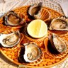 Don’t miss the oysters at Bar Lourinha.