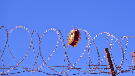 A Uighur dopa caught in a compound's barbed wire. 