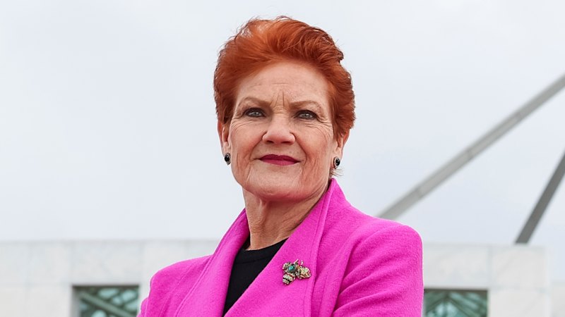 Stars in her eyes: Pauline Hanson wants her movie on Netflix