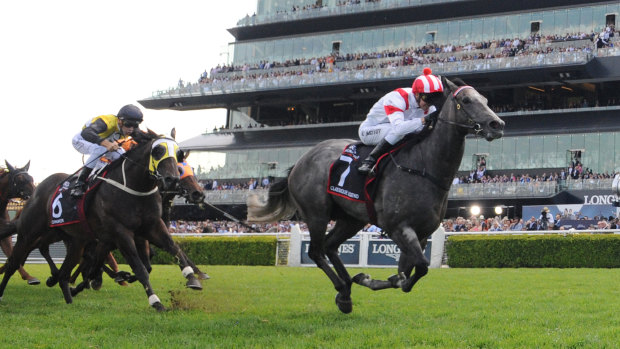 In demand: Classique Legend  shows a clean pair of heels in the Arrowfield Sprint.