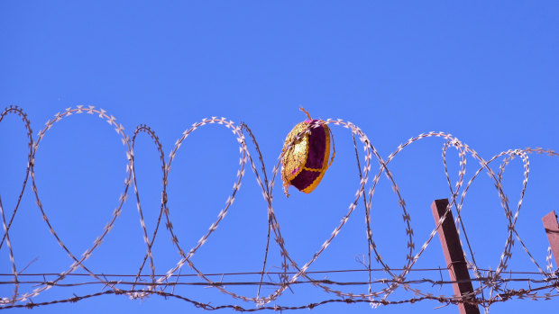 A Uighur dopa caught in a compound's barbed wire. 