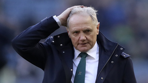 Joe Schmidt will stand down as Wallabies coach after this year’s Rugby Championship.