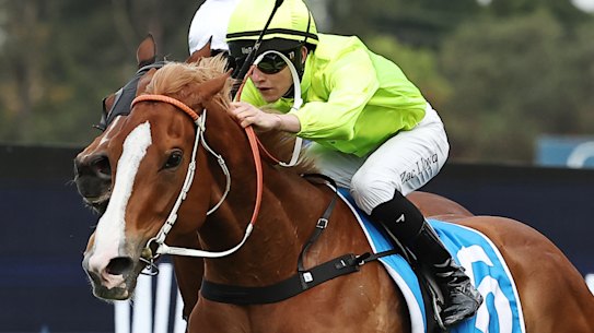 Makarena extends away from her rivals in the Golden Pendant at Rosehill.