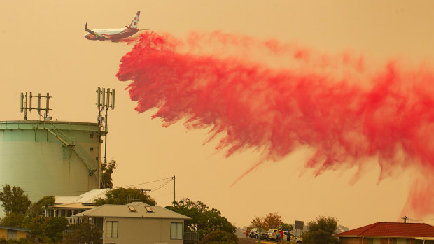 All governments are now under growing pressure to agree on a lasting expansion in the fleet by leasing more water-bombers from America and Europe or buying more aircraft.