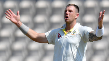 Hard to omit: James Pattinson appeals during an impressive spell in what was, effectively, an Ashes audition.