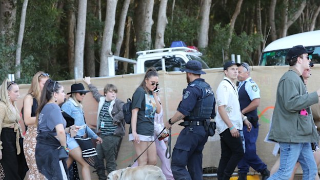 A police sniffer dog checks revellers at a music festival.