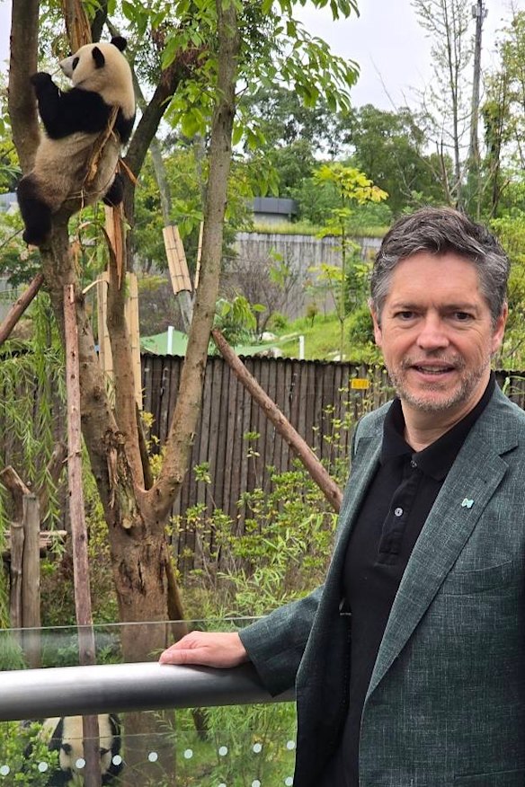 Lord Mayor Nick Reece visited pandas in China. 
